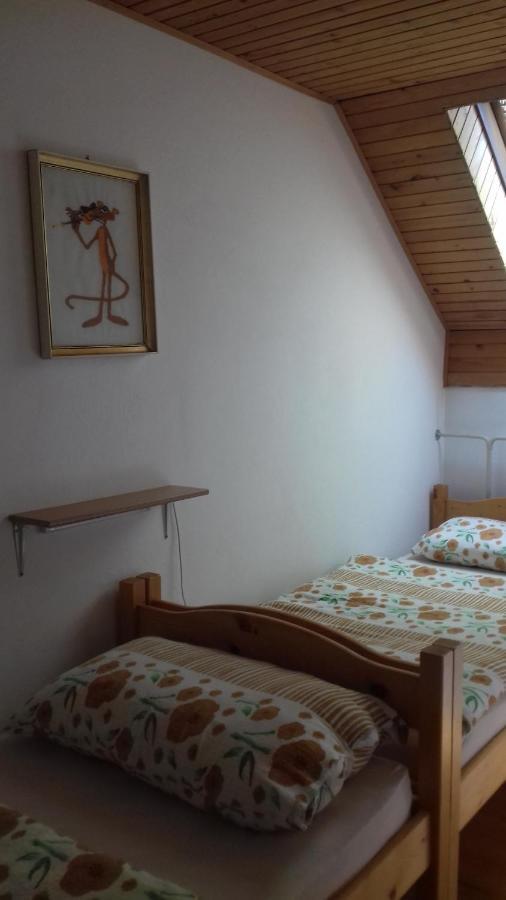 Apartma Podlogar Golica Triglav Apartment Jesenice Exterior photo